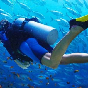 Scuba Diving Basic Package